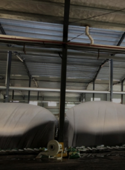 首页- 尊龙集团中国官网入口